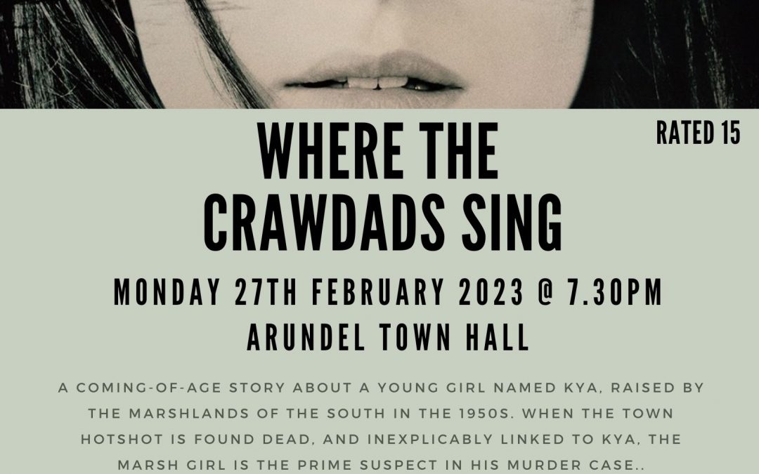 ARUNDEL TOWN HALL CINEMA