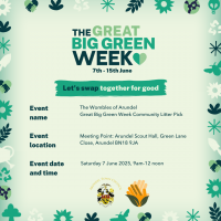 GBGW Litter Pick 7 June 2025