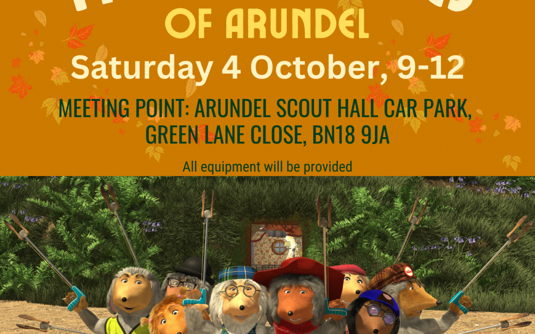 THE WOMBLES OF ARUNDEL COMMUNITY LITTER PICK