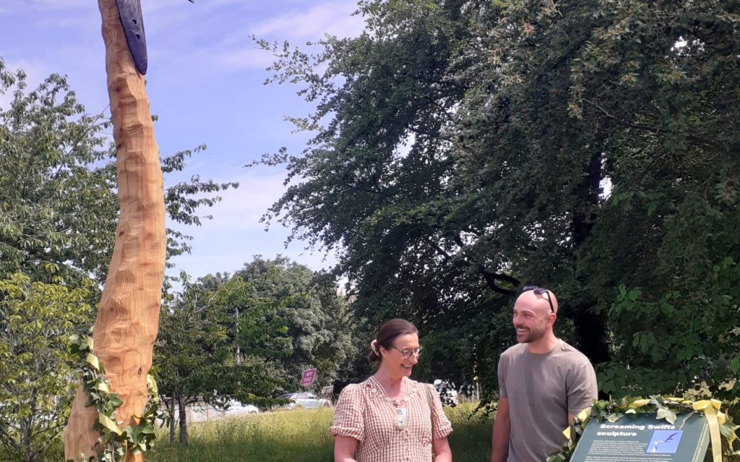 Arundel celebrates new swift sculpture, poetry trail and healing garden