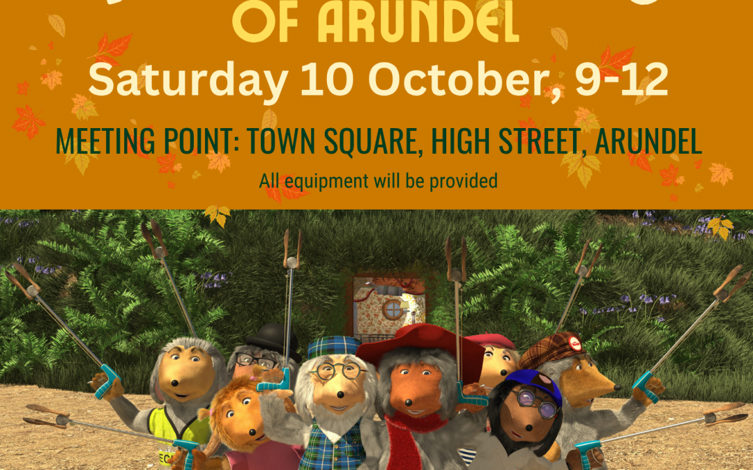 The Wombles of Arundel Community Litter Pick