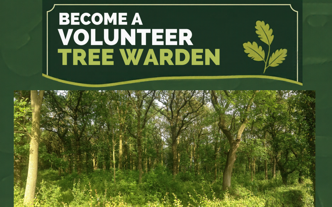 volunteer tree wardens wanted